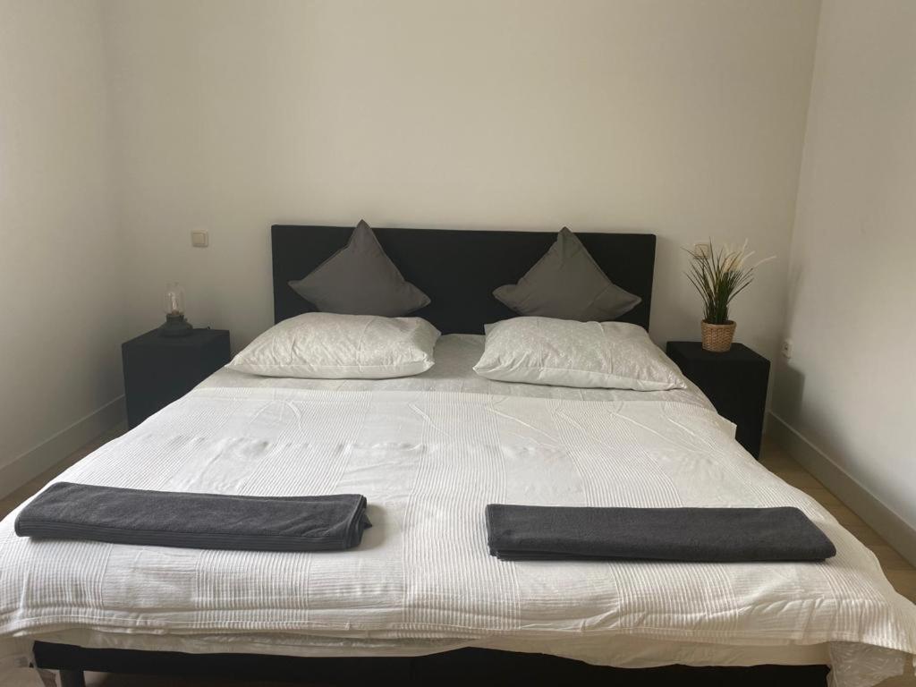 Green Stay Essen Zewnętrze zdjęcie